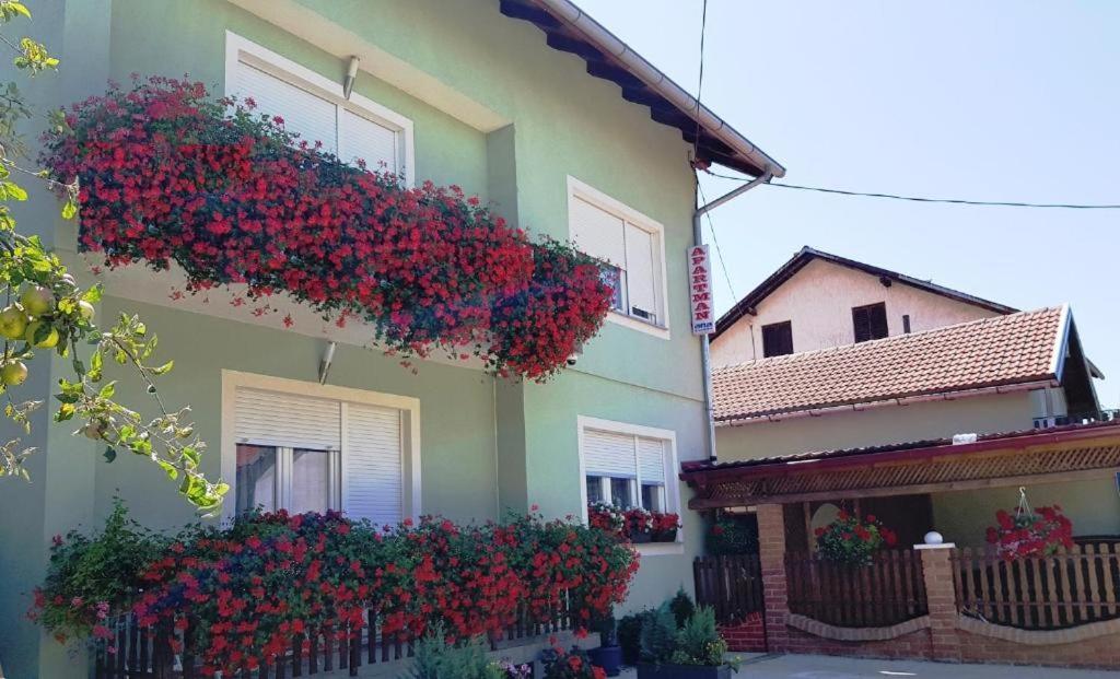 Apartmán Ana Gračac Exteriér fotografie