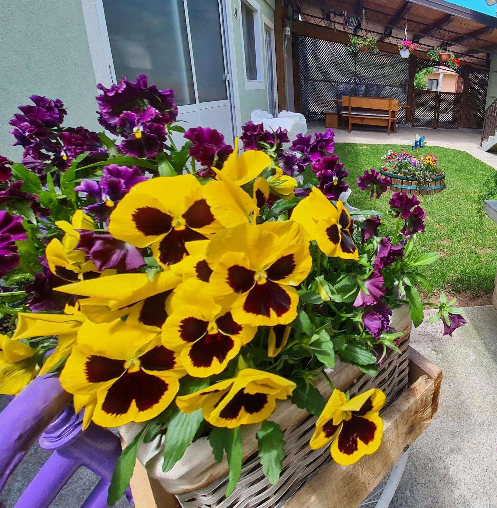 Apartmán Ana Gračac Exteriér fotografie