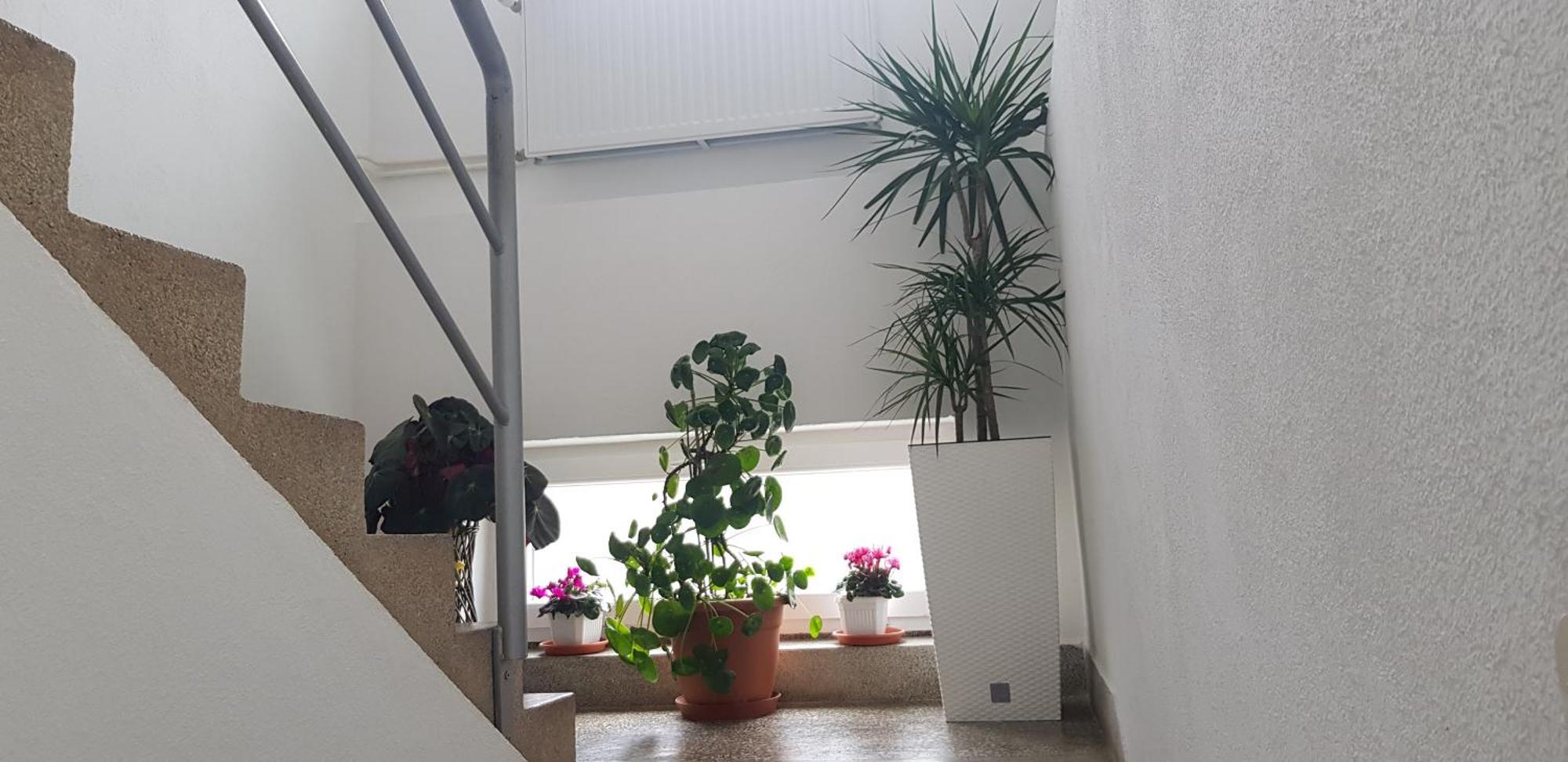 Apartmán Ana Gračac Exteriér fotografie